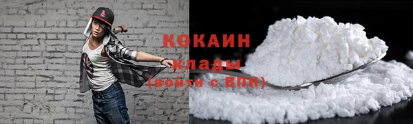 шишки Абинск